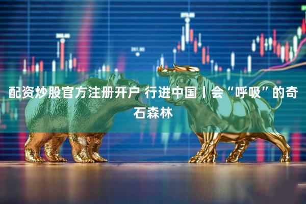 配资炒股官方注册开户 行进中国丨会“呼吸”的奇石森林