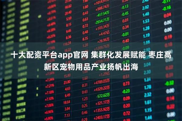 十大配资平台app官网 集群化发展赋能 枣庄高新区宠物用品产业扬帆出海